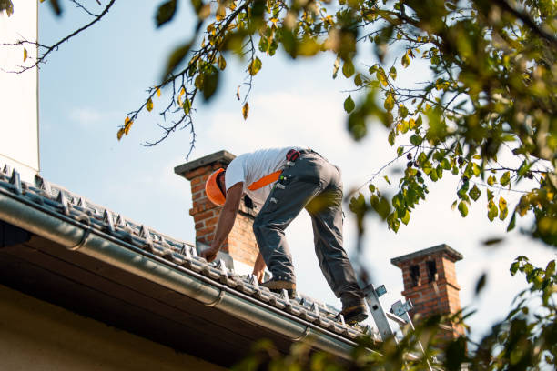Best Residential Roofing Contractor  in Gaylord, MI